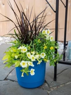 Eezy Gro Self-Watering Planters -Pots - Planters Store 8596427 0035 tif