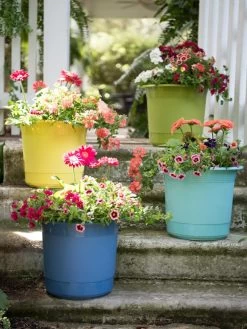 Eezy Gro Self-Watering Planters -Pots - Planters Store 8596427 8090 tif