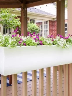 Valencia Window Box, 4' -Pots - Planters Store 8596437 006V tif