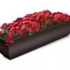 Valencia Window Box, 4' -Pots - Planters Store 8596437 10V tif