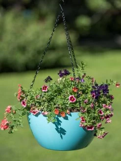 Viva Self-Watering Hanging Basket, 14" Diameter -Pots - Planters Store 8596442 0859 tif