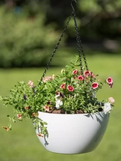 Viva Self-Watering Hanging Basket, 14" Diameter -Pots - Planters Store 8596442 0864 tif
