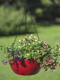 Viva Self-Watering Hanging Basket, 14" Diameter -Pots - Planters Store 8596442 0866 tif