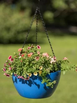 Viva Self-Watering Hanging Basket, 14" Diameter -Pots - Planters Store 8596442 0876 tif