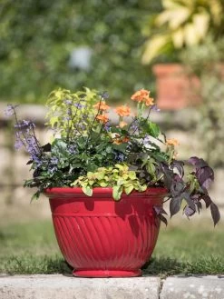 Mazzano Self-Watering Planters -Pots - Planters Store 8596564 4883 tif