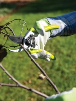Gardener's Pro Pruner #2 9 Gardener's Pro Pruner #2 -Pots - Planters Store 8596605 032 tif