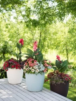 Weave Self-Watering Round Planter, 14" 6 Weave Self-Watering Round Planter, 14" -Pots - Planters Store 8597388 2141 tif