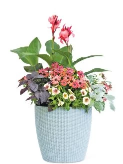 Weave Self-Watering Round Planter, 14" 7 Weave Self-Watering Round Planter, 14" -Pots - Planters Store 8597388 2175 tif
