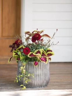 Galvanized Ribbed Planters -Pots - Planters Store 8597435 1693 tif