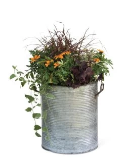 Galvanized Rim Planters -Pots - Planters Store 8597443 1704 tif