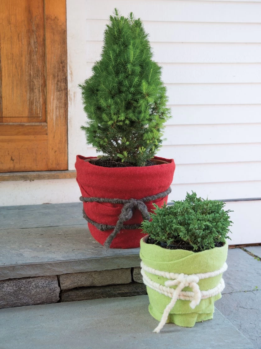 GardenWool® Cord 3 GardenWool® Cord