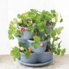 Stacking Strawberry Pot 1 Stacking Strawberry Pot -Pots - Planters Store 8597996 9004 tif
