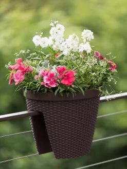 Weave Round Railing Planter, 11" 9 Weave Round Railing Planter, 11" -Pots - Planters Store 8598370 8584 tif