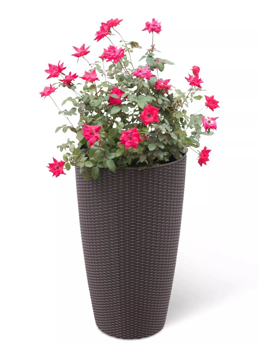 Weave Self-Watering Round Tall Planter, 12-1/2" 3 Weave Self-Watering Round Tall Planter, 12-1/2"