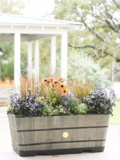 VegTrug™ Trough Planters -Pots - Planters Store 8598402 08880 tif