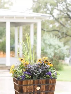 VegTrug™ Trough Planters -Pots - Planters Store 8598403 008876 tif