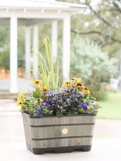 VegTrug™ Trough Planters -Pots - Planters Store 8598403 08876 tif