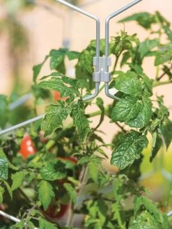 Gardener's Vertex Lifetime Tomato Cage -Pots - Planters Store 8598426 0011 tif