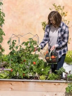 Gardener's Vertex Lifetime Tomato Cage -Pots - Planters Store 8598426 0026 tif