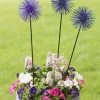 Everbloomin' Alliums, Set Of 3 1 Everbloomin' Alliums, Set Of 3 -Pots - Planters Store 8598435 9007 tif
