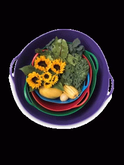 Colorful Tubtrug, 3-1/2 Gallon -Pots - Planters Store 8599088 20GalTubTrug gif 1