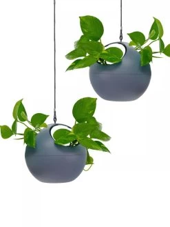 Exaco Euro Hanging Planters, Set Of 2 9 Exaco Euro Hanging Planters, Set Of 2 -Pots - Planters Store 8599179 04V tif