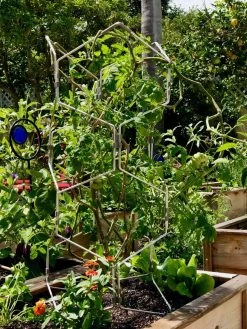 Gardener's Vertex Lifetime Pepper And Eggplant Cage 13 Gardener's Vertex Lifetime Pepper And Eggplant Cage -Pots - Planters Store 8599554 01CUST tif