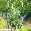 Gardener's Vertex Lifetime Pepper And Eggplant Cage -Pots - Planters Store 8599554 3000 tif