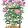 Titan Peony Supports, Large, Set Of 2 -Pots - Planters Store 8599857 0001 art tif