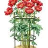 Titan Peony Supports, Medium, Set Of 2 2 Titan Peony Supports, Medium, Set Of 2 -Pots - Planters Store 8599858 0001 art tif