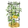 Titan Pepper Eggplant Cages, Set Of 3 -Pots - Planters Store 8599859 0001 art tif