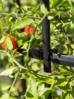 Titan Tall Tomato Cages, Set Of 3 8 Titan Tall Tomato Cages, Set Of 3 -Pots - Planters Store 8599861 0079 tif 1