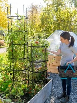 Titan Tomato Cages, Set Of 3 -Pots - Planters Store 8599861 0114 tif