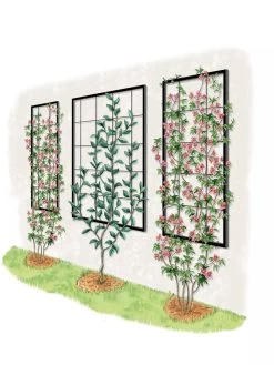 Exeter Wall Trellis 13 Exeter Wall Trellis -Pots - Planters Store 8600049 50 0001 art tif