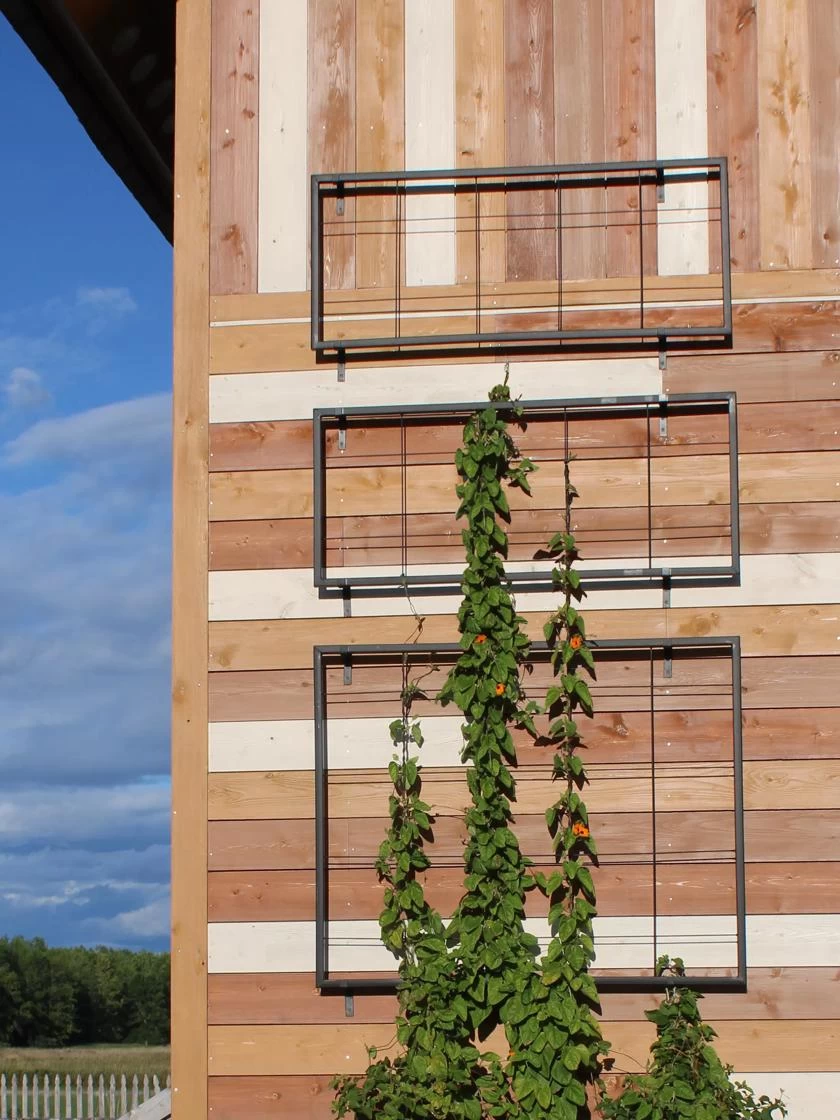 Exeter Wall Trellis 3 Exeter Wall Trellis