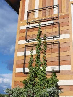 Exeter Wall Trellis 11 Exeter Wall Trellis -Pots - Planters Store 8600049 7121 tif