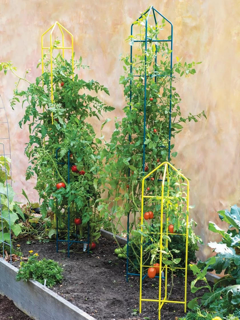 Zenith Folding Garden Supports, Set Of 2 3 Zenith Folding Garden Supports, Set Of 2