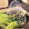 Chicken Wire Cloche With Extension -Pots - Planters Store 8600116 0482 tif