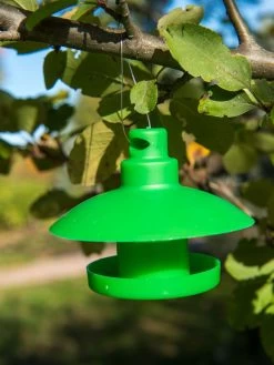 Slug And Snail Traps, Set Of 3 -Pots - Planters Store 8600120 1792