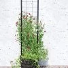 Gardener’s Victory Self-Watering Planter With Vine Trellis -Pots - Planters Store 8600177 05490 tif