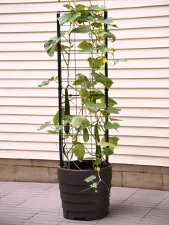Gardener’s Victory Self-Watering Planter With Vine Trellis -Pots - Planters Store 8600177 9876 tif