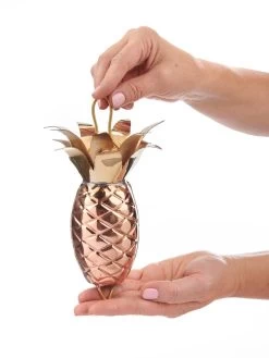 Pineapple Pure Copper Rain Chain, 8.5' -Pots - Planters Store 8600210 03v