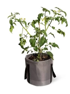 Reinforced Colorful Grow Bags -Pots - Planters Store 8600229 0944 tif