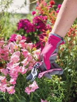 Gardener's Floral Pruning Bypass Shears -Pots - Planters Store 8600299 19545 tif