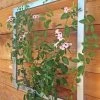 Ina Modern Wall Trellis Jr. -Pots - Planters Store 8600512 07V tif