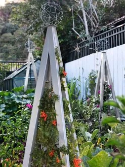 Akoris Garden Tuteur Jr. 14 Akoris Garden Tuteur Jr. -Pots - Planters Store 8600517 07V tif