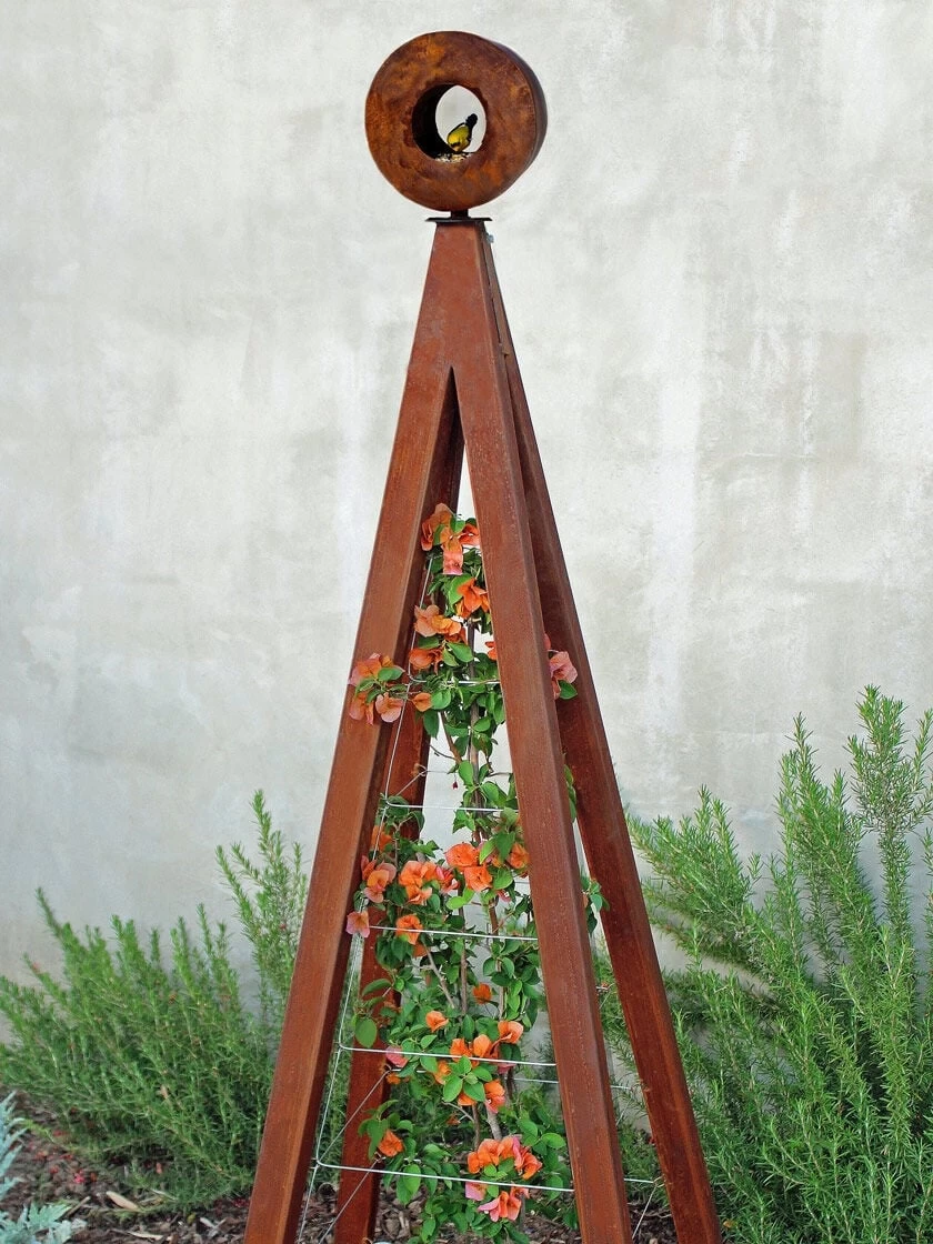 Bird Cafe + Akoris Garden Tuteur Sr. 3 Bird Cafe + Akoris Garden Tuteur Sr.