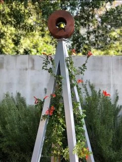 Bird Cafe + Akoris Garden Tuteur Sr. 16 Bird Cafe + Akoris Garden Tuteur Sr. -Pots - Planters Store 8600525 07v