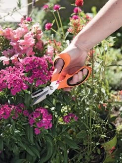 Gardener's Multi Purpose Scissors -Pots - Planters Store 8608655 19551 tif