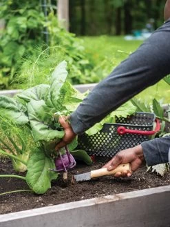 Gardener's Lifetime Hori Hori Knife 9 Gardener's Lifetime Hori Hori Knife -Pots - Planters Store 8608888 0422 tif